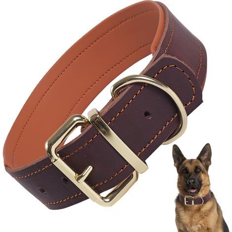Collier en Cuir véritable rembourré,Ajustable pour Grands Chiens(Marron XL), Convient aux races moyennes, grandes et très grandes (1/5)