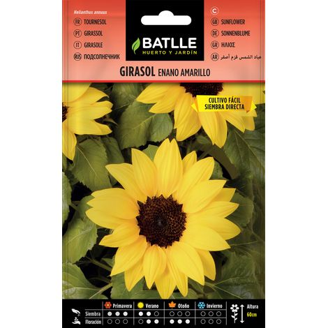 Batlle Semillas de Girasol Enano Amarillo - 3 Bolsitas