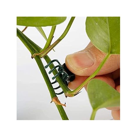 100 pièces Plante Support Clips de Jardin en Plastique Tiges Fleur Jardin Outils Clips Cultiver Vertical Orchid (1/5)