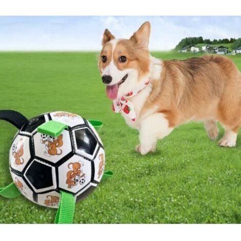 Boule indestructible pour chien boule indestructible pour chien boule interactive pour chien jouant à l'intérieur et à l'extérieur, envoyant une pompe à air, (version noire) bande dessinée verte (1/3)