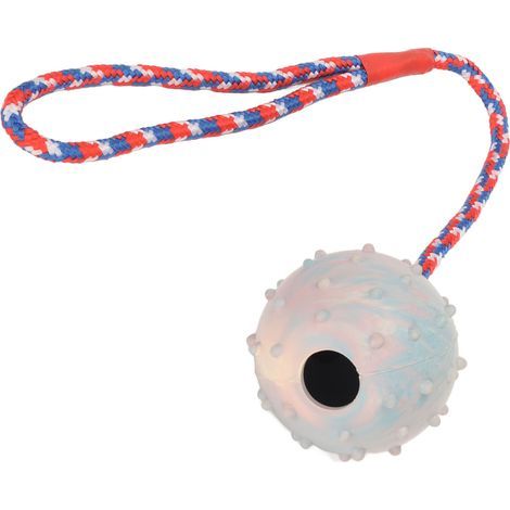 Balle à mâcher en caoutchouc pour chien, avec corde, jouet d'entraînement de dentition pour chiot, pour chiens de taille moyenne et petite (1/5)