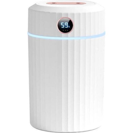 Humidificateur ultrasonique silencieux 2 L avec thermo-hygromètre, double buse,autonomie de 36 heures,Pour maison,chambre et bureau (1/5)