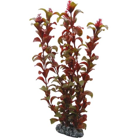 Hobby Rotala, 30 cm - Kunststoffpflanze für Aquarien