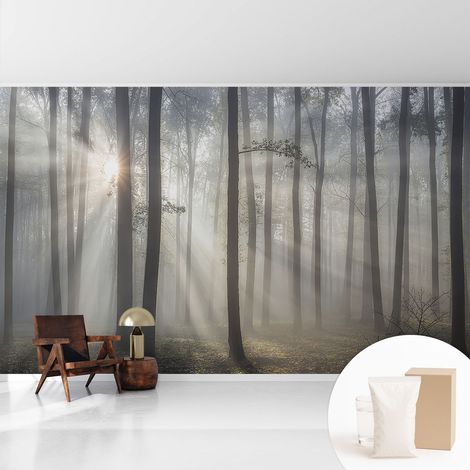 Tapete Vliestapete mit Kleber - trendige Wanddeko - elegant Fototapete für Wohnzimmer - Schlafzimmer Ätherischer Wald 416x254 cm (1/5)
