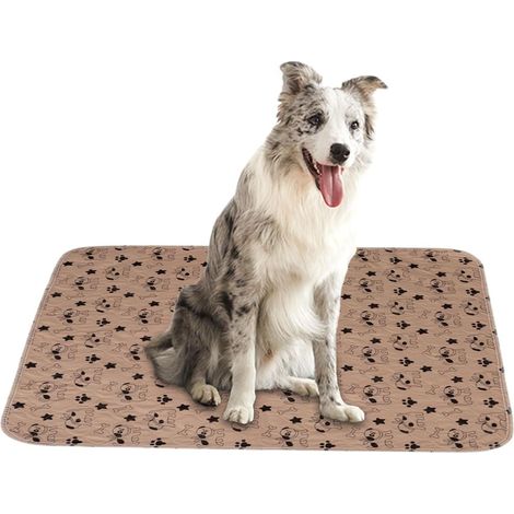 de dressage pour chien lavable et rutilisable Tapis de (1/5)