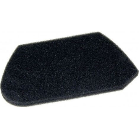 Filtro para Aspiradora MOULINEX ZR005501