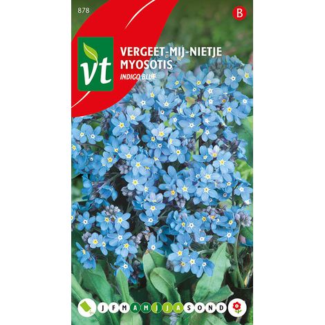 Myosotis (Ne M'Oubliez Pas) - Ca. 0,4 gr (Livraison Gratuite) (1/2)