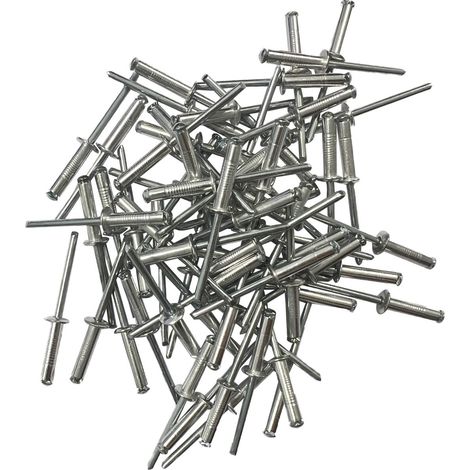 200 rivets eclateurs de 4.8 x 20 plaques d'immatriculation