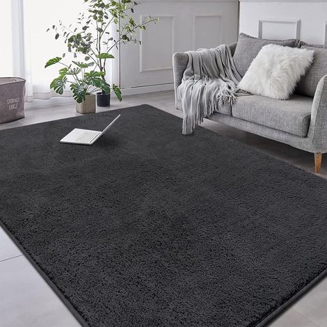 Grands Tapis pour Salon 200x300 cm Tapis Moelleux en Microfibre Gris Foncé pour Salon, Tapis de Salon Lavable en Microfibre pour Chambre à Coucher Design Couleur Unie Extra Grand Tapis (1/5)