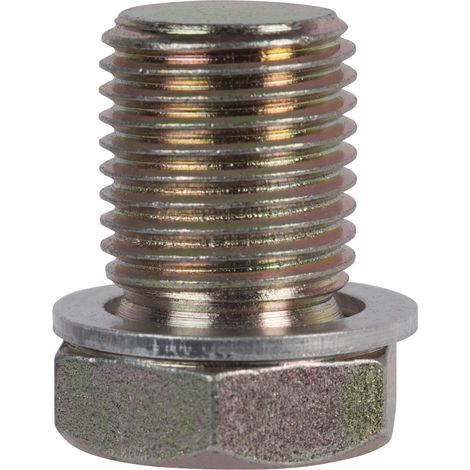 SW-Stahl 03029L Ölablaßschraube mit Aludichtring, M13 x 1,5