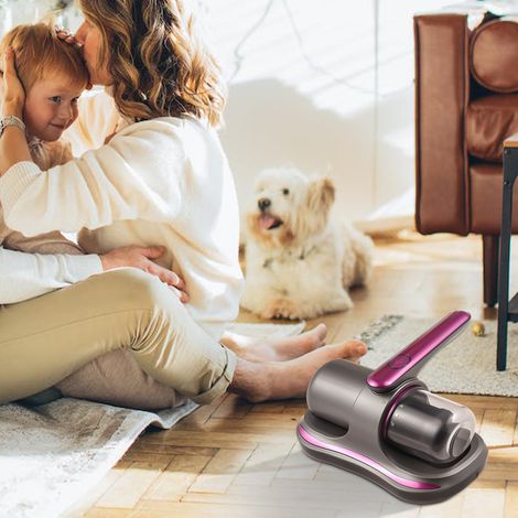 Aspiradora de colchones inalámbrica (100 W) con filtro HEPA – Potencia de succión de 8 kPa – 2 velocidades – Color gris-púrpura (1/5)
