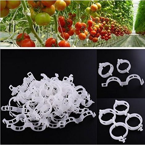 KINGLAKE 200 Pieces Clips Tomate pour Plantes,Clips pour Grimpantes,Jardin Clips en Plastique,pour légumes,Plantes,Tomates-Blanc (1/4)