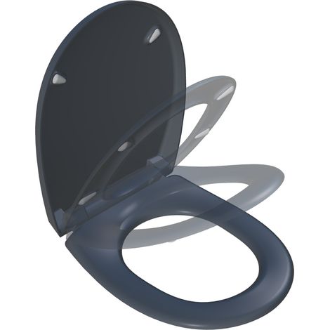 Asiento de plástico termoendurecible click & clean antracita click & clean BEMIS (1/4)