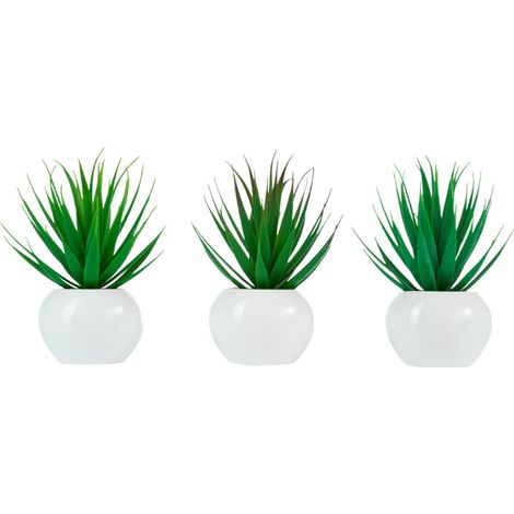 ARPIMEX Tillandsia in Vaso di Ceramica D 18 Cm 1 Pz