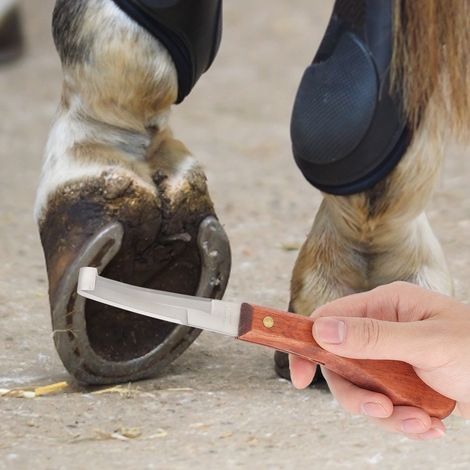 Rechtshändiges, beidseitiges Klauenpflegemesser für Ziegen, Schafe und andere Nutztiere (1/5)