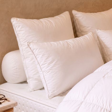 Oreiller Tradition Canard - 90% Duvet - Medium - 50/70 - DODO (1/2)