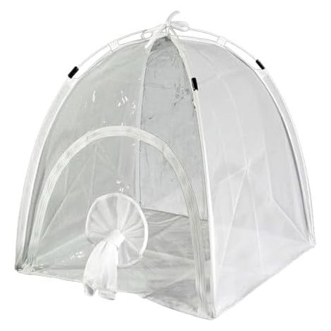 Enclos à chenilles facile , conçu pour les entomologistes en herbe souhaitant élever des papillons. Facile et réutilisable. L'enclos mailles fines est respirant. -