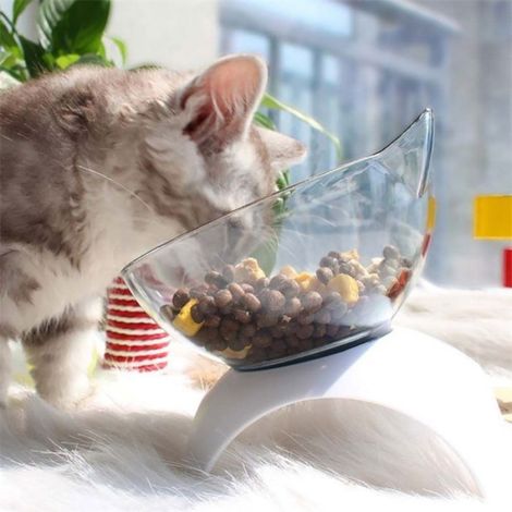 2pcs Bol à eau pour chat, abreuvoir pour animaux de compagnie, mangeoire pour chien, fournitures pour animaux de compagnie, bol (1/5)