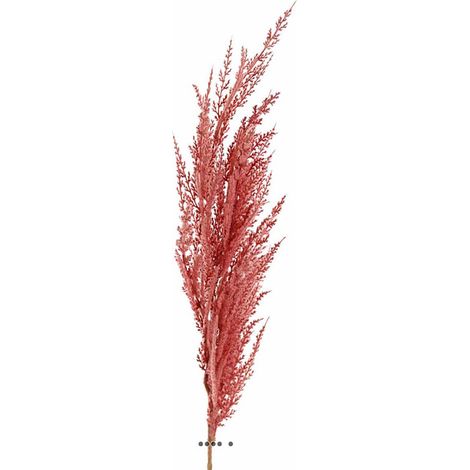 Magnifique fausse herbe de pampa grande tige 100 cm Rose - couleur: Rose