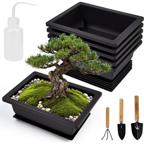 6PCS Grands Bols à Bonsaï Pot à Bonsaï en Plastique Bol à Plantes avec Soucoupe 16,5 x 12 x 6 cm Bol à Bonsaï Rectangulaire Pots d'Entraînement avec Arrosoir pour Jardin Salon Balcon (1/5)