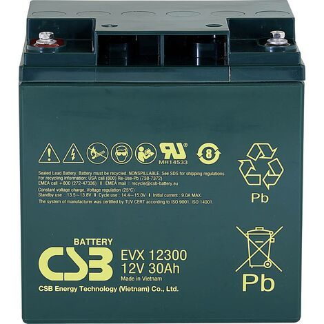 CSB Battery EVX 12300 EVX12300 Batterie au plomb 12 V 30 Ah plomb (AGM) (l x H x P) 166 x 175 x 125 mm raccord à vis M5 résistant aux cycles de char X843281 (1/4)