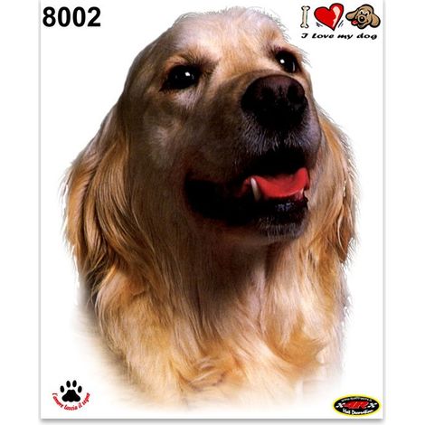 Adesivi Stickers Medi Cane Golden Retriever 13,5 x 16 cm (1/4)