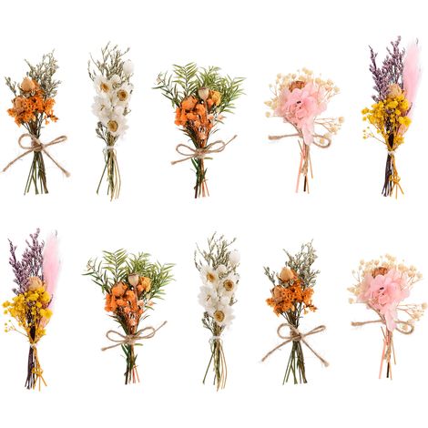 Mini feuilles de fleurs séchées, 10 pièces, pour artisanat, bricolage, matériel de couleur vive, décoration intérieure de carte (1/5)