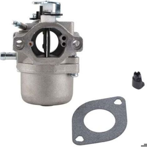 Carburateur pour moteurs Briggs & Stratton 285707, 289707, 28B705, 28M707 (1/4)