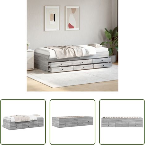 Schlafsofa - Tagesbett mit Schubladen ohne Matratze Grau Sonoma 100x200 cm (1/5)