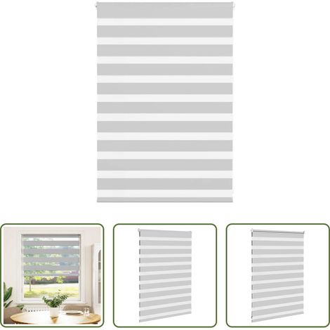 vidaXL Sonnenschutz - Doppelrollo Hellgrau 100x100 cm Stoffbreite 95,9 cm Polyester (1/5)