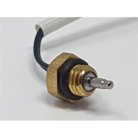 Sonda temperatura Neckar W10