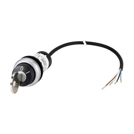 Interruptor Eaton C22-WRS-MS1-K10-P62 plástico IP66 4 A