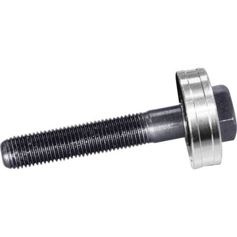 Tornillo Rittal 4055633 rodamiento 55 mm longitud