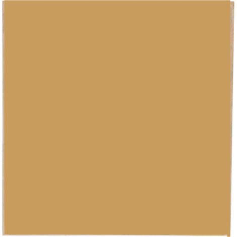 Accessoire pour imprimante 3D MK52 : plaque chauffante en acier, feuille PEI 253,8 x 241 mm (1/5)