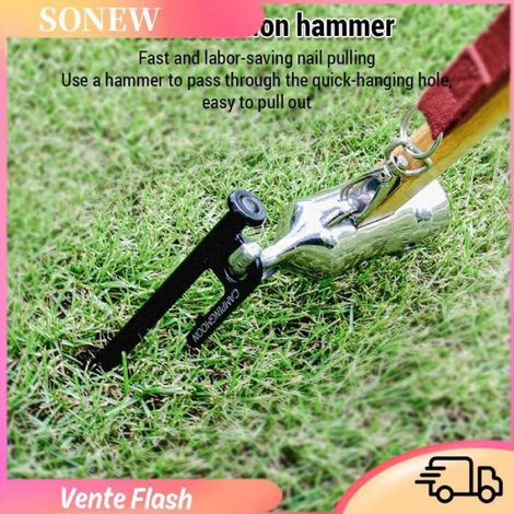 Sonew Poteaux fixes Clou de tente antirouille, poteau fixe, auvent, clou de Camping, électrophorèse en acier à sport camping 30 cm (1/5)