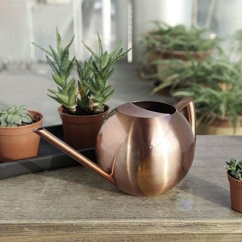 Annaffiatoio per bonsai da 1 litro in acciaio inox con beccuccio lungo (1/5)
