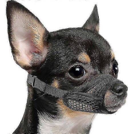 Muselière en filet pour chiens à museau court - Anti-morsure pour les petites et moyennes races comme le Chihuahua, le Poméranien et les chiens brachycéphales (XS) (1/5)