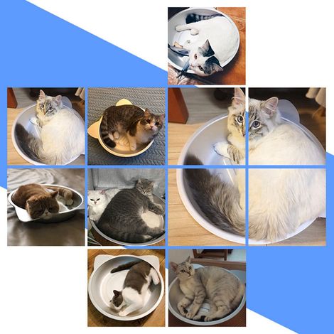 Nid en aluminium pour chat, bassin de refroidissement en aluminium pour animaux de compagnie, lit de glace d'été pour chat (1/5)