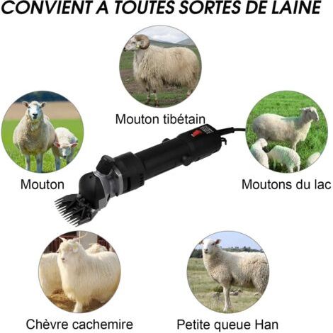 Tondeuse électrique 1200W, tondeuse portable, 6 vitesses, adaptée aux moutons, chèvres, lamas, chevaux, alpagas et autres animaux, peut couper les poils épais et peut également être utilisée pour les (1/3)