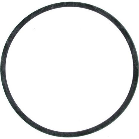 Joint cuve carburateur Delorto pour moteur Tecumseh – Diamètre 49.2mm – Épaisseur 1mm – Pièces adaptables tondeuse et motobineuse
