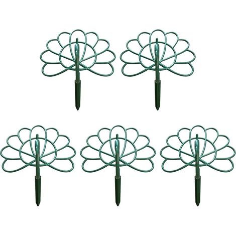 Gardez la fleur de paon droite pour votre (1/5)