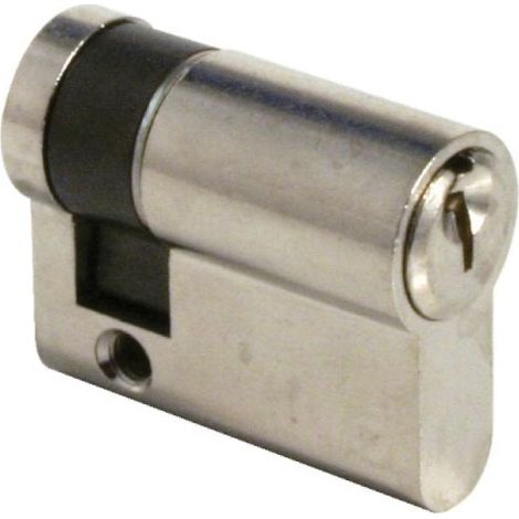 Cylindre TE5 70 x 10 indexable. laiton nickelé. varié - TESA SA