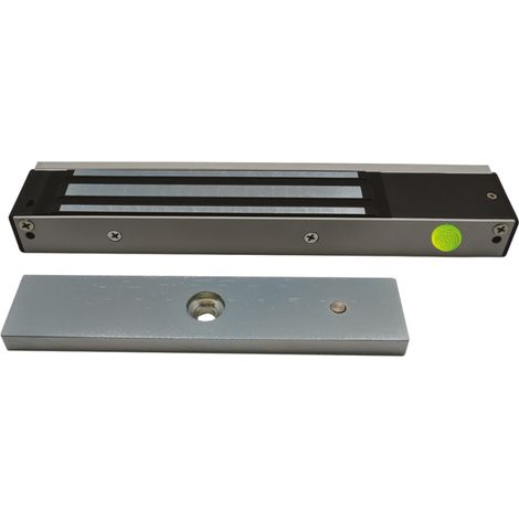 Ventouse EM applique 600 lbs 24/48V DC Contact Hall / LED - NF S 61-937