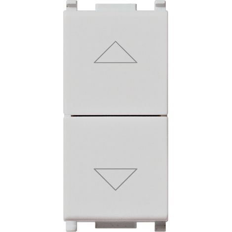 VIMAR - 14060.SL 2P 10AX Zwei-Tasten-Schalter, Silber