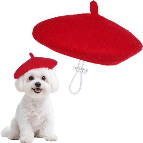 Béret pour chien - Chapeau humoristique pour chien d'artiste - pour petits chiens et chats - Halloween - 1 pièce (1/5)