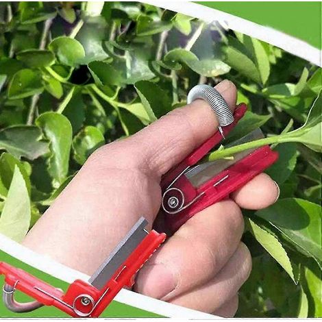 Outil de cueillette de plantes de jardin, cueillette au doigt, couteau de cueillette, cueillette, cueillette, récolte de thé (1/5)