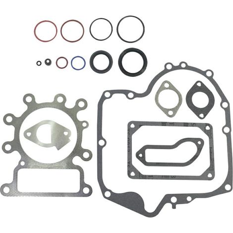 Serie Guarnizione OHV monocilindrico verticale 12,5/13/13,5 HP AVS 215/21B/21R -320317