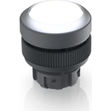 RAFI 1.30.240.021/1000 RAFIX 22 QR Leuchtdrucktaster    tastend  (L x B x H) 29.8 x 29.8 x 32.3 mm