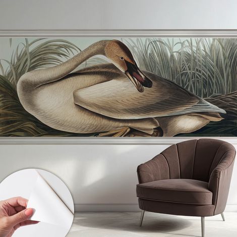 Selbsthaftend Tapete für Wohnzimmer Schlafzimmer Küche - Wanddekoration Natürlicher Vogel 250x104 cm (1/5)