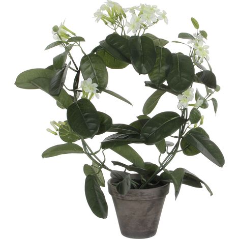 Mica Decorations Stephanotis in Topf polyester 50 x 40 cm weiß
